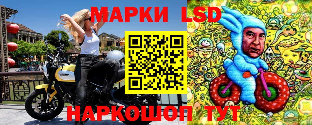  COCAIN Кировск