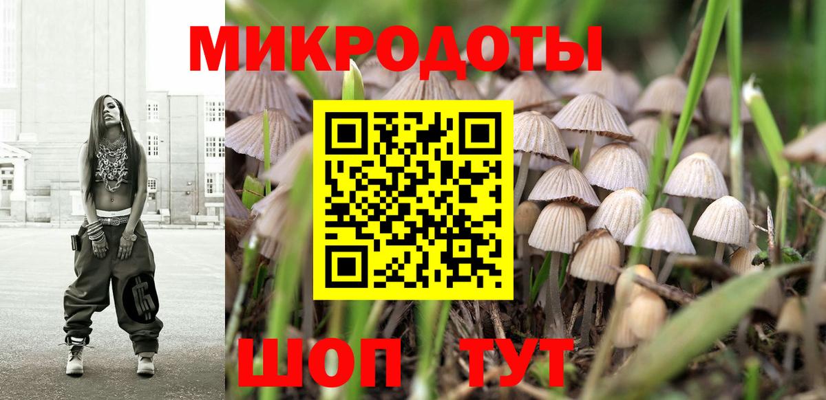 Кировск  Псилоцибиновые грибы ЛСД  Псилоцибиновые грибы Psilocybine cubensis  наркотики  Вход с VPN 